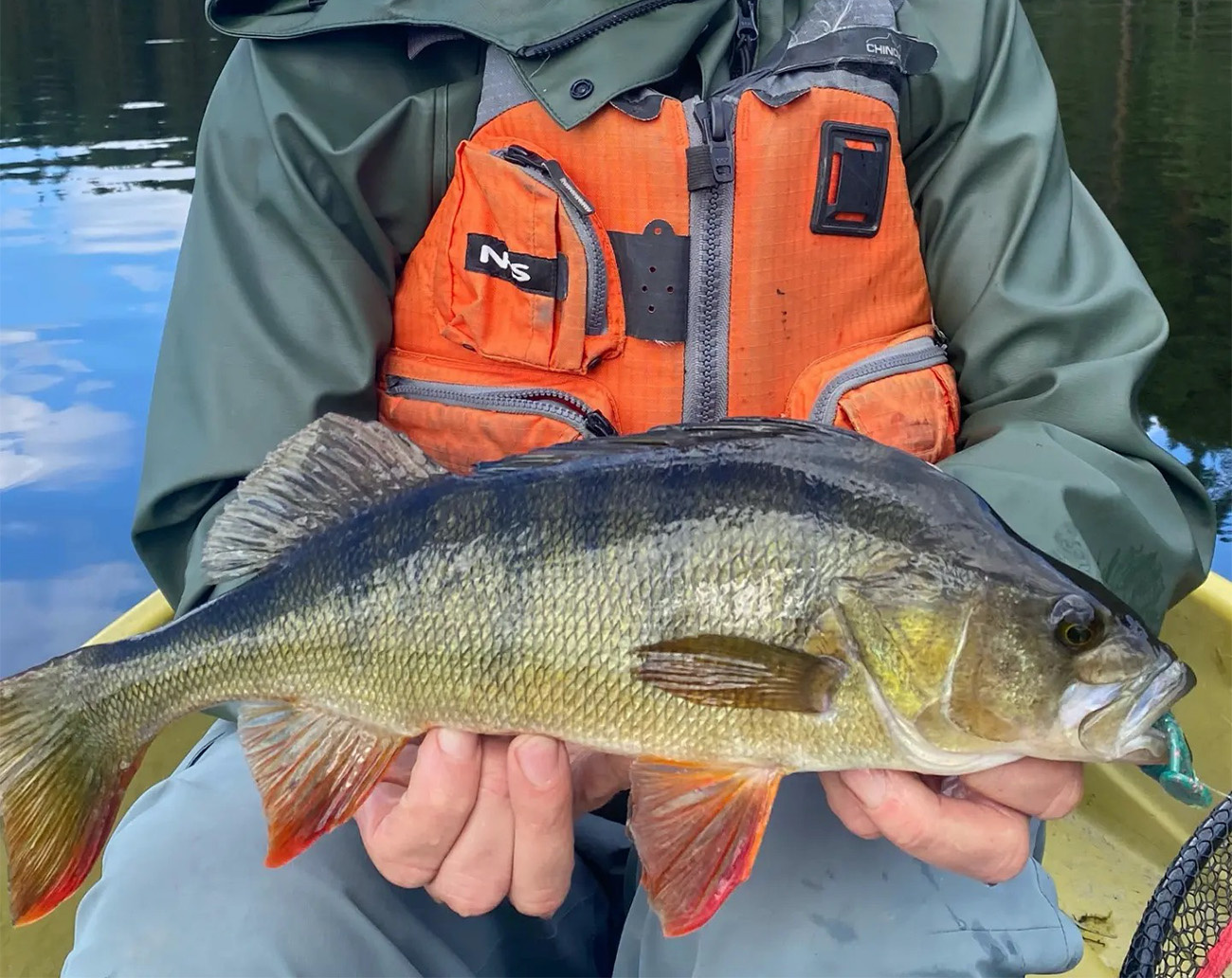 Sanno Baits Morris 12,5 cm